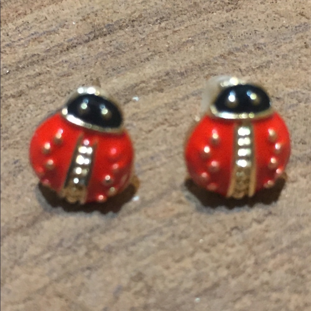 Ladybug 🐞 stud earrings